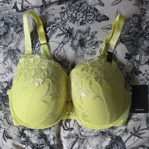 Addition Elle Lemon Lime Lace Bra NEW